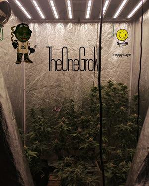 How to Choose the Right Grow Tent for Buyers: Comprehensive Guide