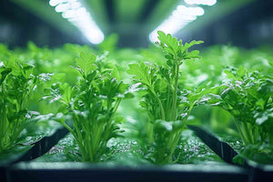 Full Spectrum LED Grow Light