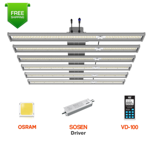 2022 Best Lights for Indoor Plants