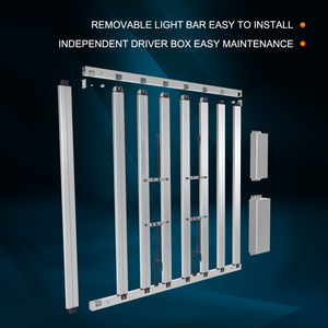 Outstanding Benefits of Grow Lights for Indoor Plants