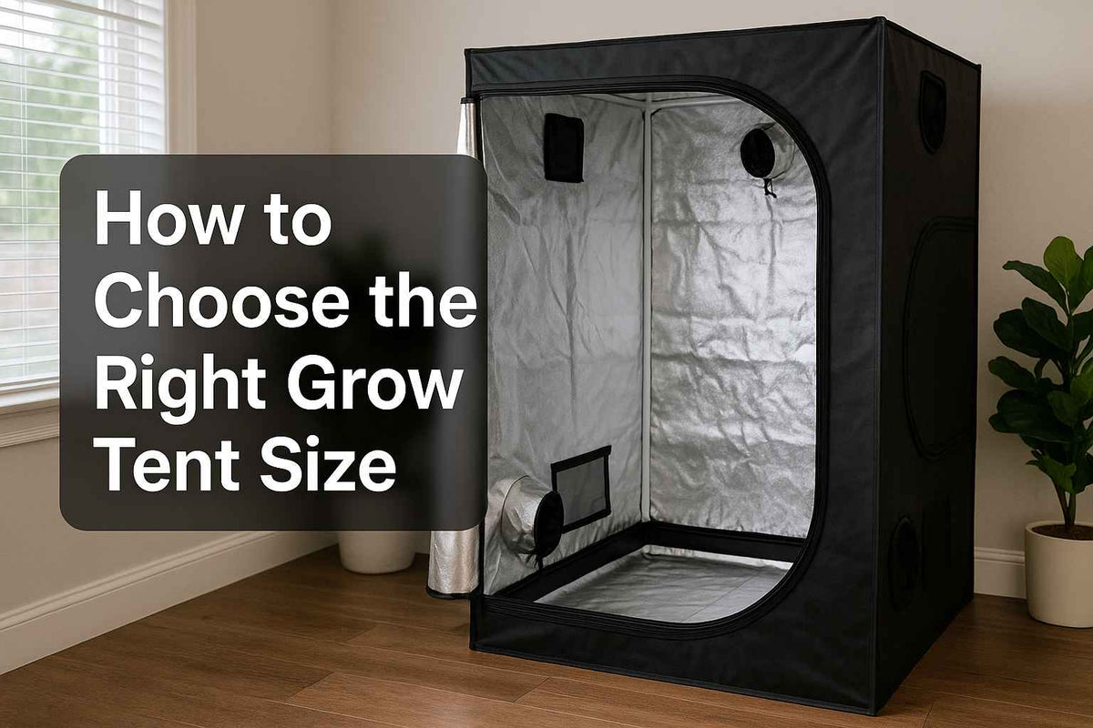 How to Choose the Right Grow Tent Size? Complete Buying Guide  TheOneGrow