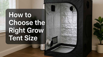 How to Choose the Right Grow Tent Size?