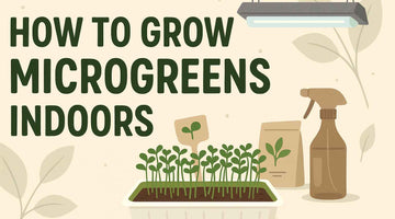 How to Grow Microgreens Indoors: Complete Guide for Beginners