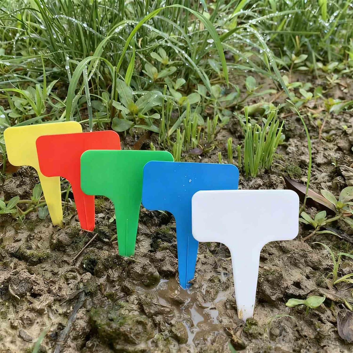 Plant Markers for Garden - Weatherproof and Durable - TheOneGrow