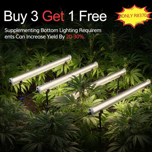 TheOneGrow 120W under canopy lights with Samsung 301B diodes for lower plant growth