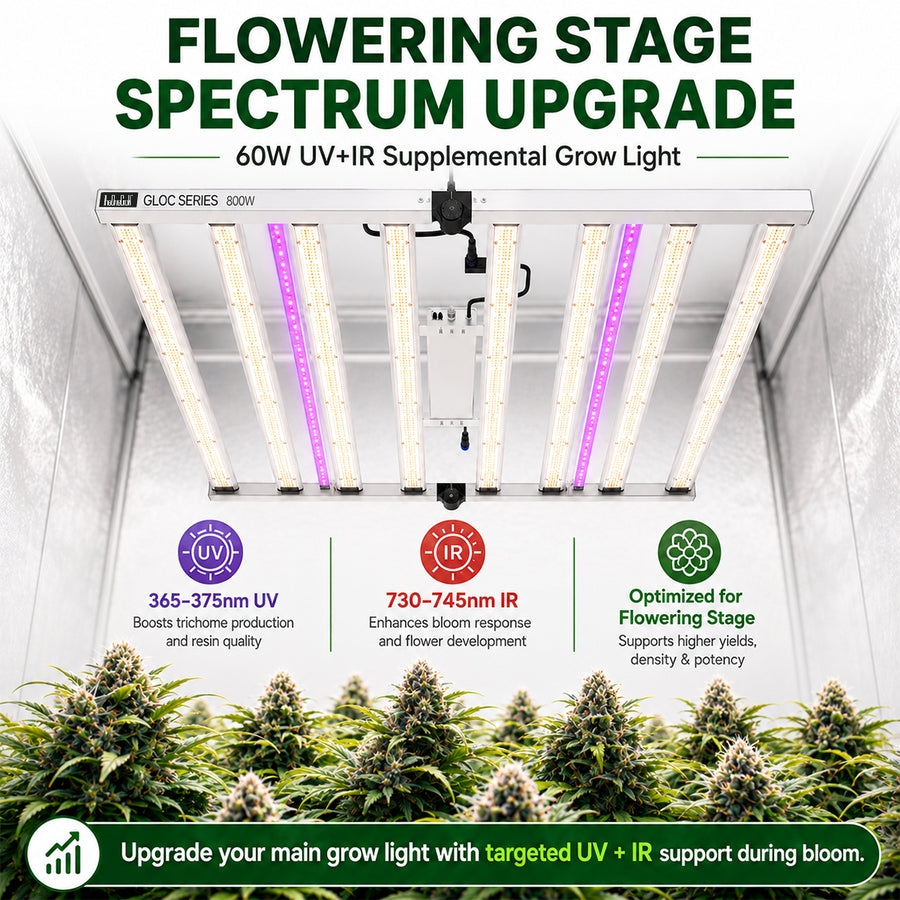 60W UV and far-red supplemental bars installed with an overhead grow light above flowering plants
