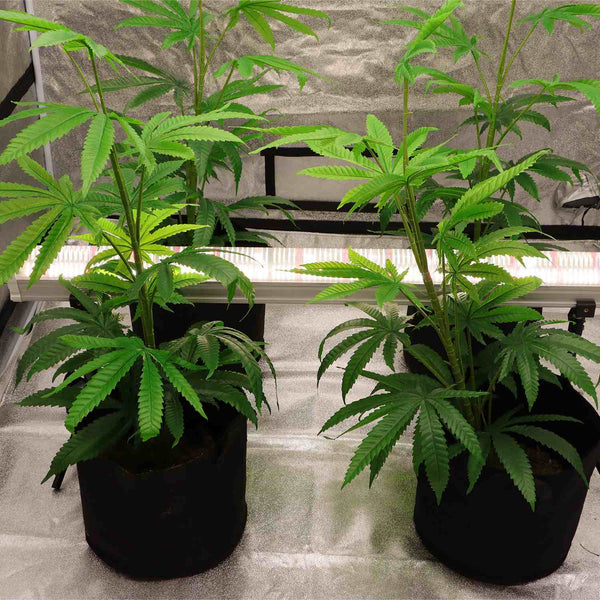 120W Under Canopy Lights|Samsung 301B|Full Spectrum Grow Lights--TheOneGrow