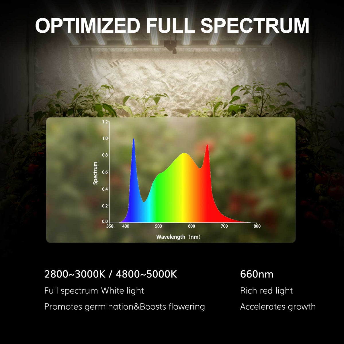 800W LED Grow Lights with SAMSUNG LM301B Diodes Full Spectrum for