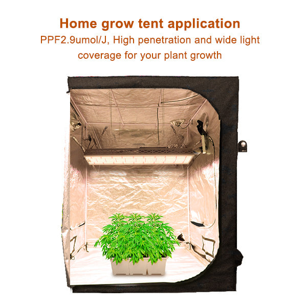 600W LED Grow Lights for Greenhouse Supplemental Light|SAMSUNG 301B chip---TheOneGrow