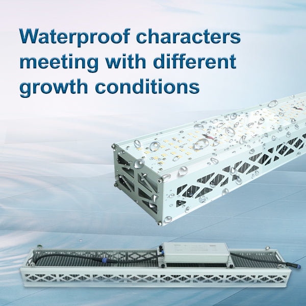 600W LED Grow Lights for Greenhouse Supplemental Light|SAMSUNG 301B chip---TheOneGrow