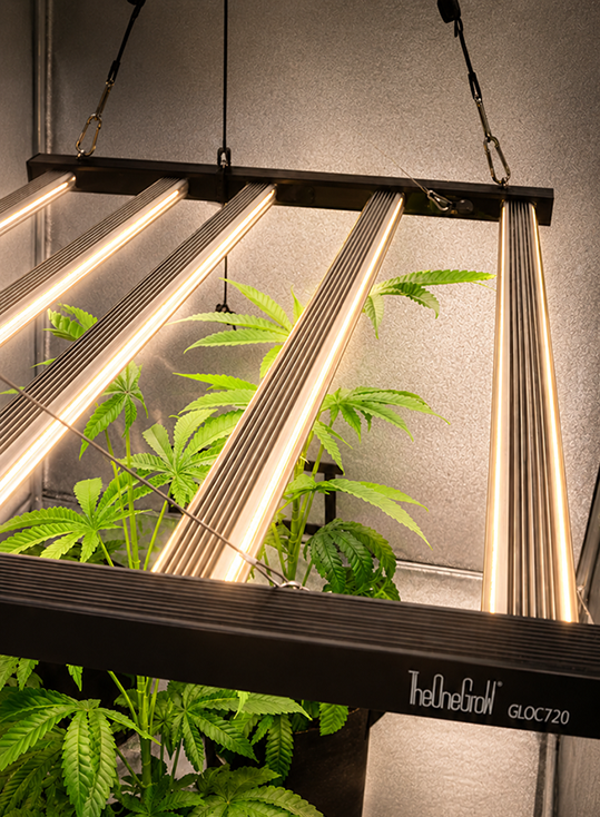 Led Grow Lights