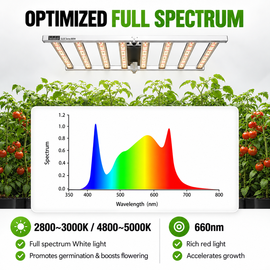 LED grow light illuminating plants in an indoor growing setup