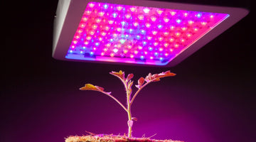 Tips on Protecting Your LED Grow Light