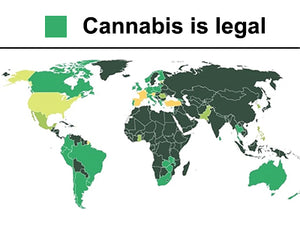 which countries have legalised marijuana