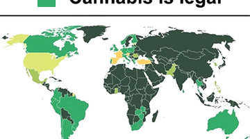 which countries have legalised marijuana