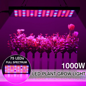 How to use 1000W LED grow light effectively?