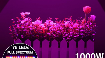 How to use 1000W LED grow light effectively?