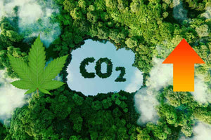 How to Increase plants Yields Using CO₂