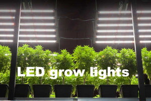 Can any LED light work as a grow light?