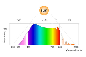 What are FR and UV and what effects do they have on plants