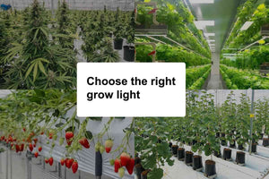 Choose the right grow light