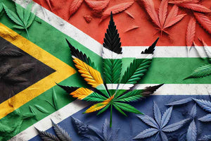 Is it Legal to Grow Marijuana in South Africa