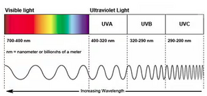 Effects of UV rays (UVA, UVB, and UVC)