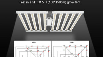 1000W LED grow light