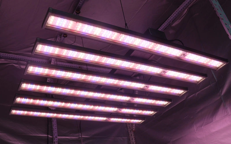 LED Grow Lights for Cannabis: LED vs HPS Costs and Trade-offs