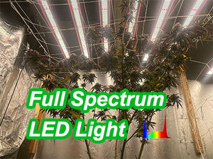  spectrum for growing plants