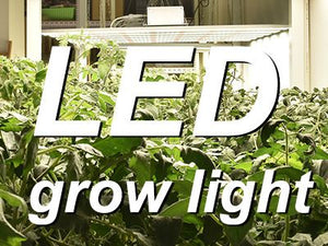 LED grow light