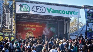 What does 420 mean in cannabis culture?