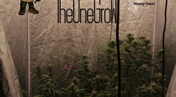 How to Choose the Right Grow Tent for Buyers: Comprehensive Guide