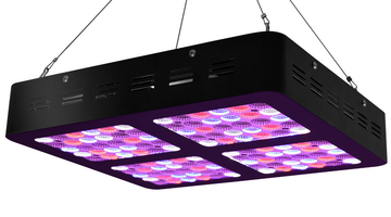 How to maintain indoor crop with 600W LED grow light?