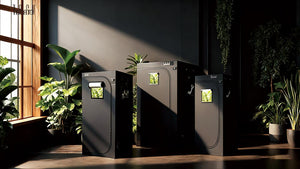 How to Build Your Indoor Garden:2026 Grow Tent Kits Buying Guide