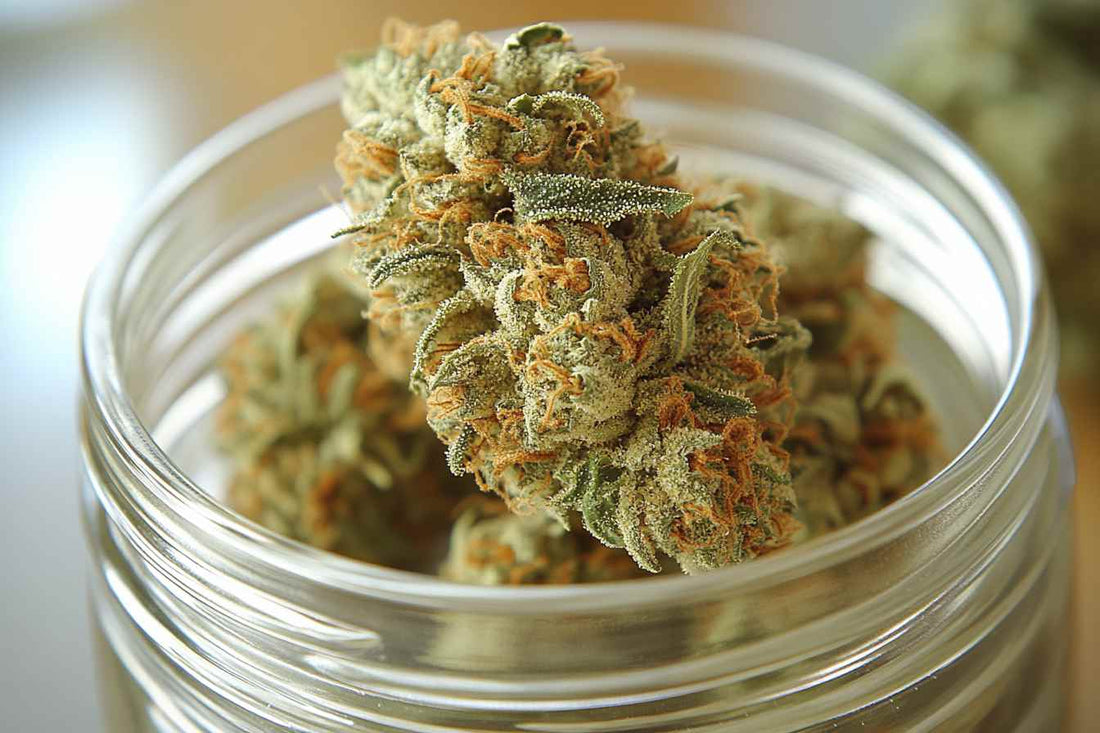 Dried marijuana