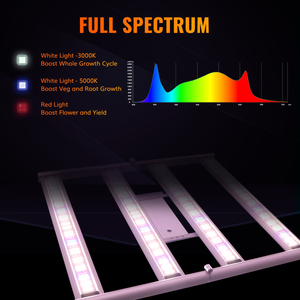 Best LED Grow Light 2021 for Indoor Cultivation