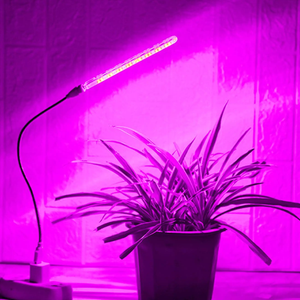 Trending Best grow lights for marijuana in 2021