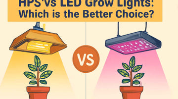 HPS Vs LED Grow Light