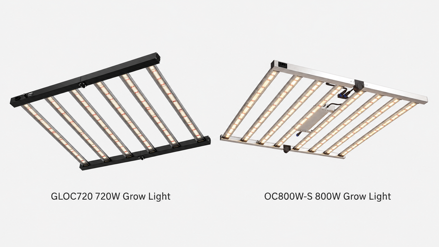 LED Grow Lights in South Africa: Is 800W Worth the Extra Cost over 720W?