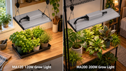 LED Growing Lights in South Africa: One Routine or Two Plant Stations?