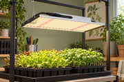 MA120 120W LED Grow Light suspended above lettuce and basil seedlings in an indoor nursery
