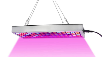 High efficacy LED grow light: Benefits and Applications