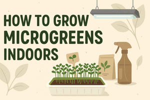 How to Grow Microgreens Indoors: Complete Guide for Beginners