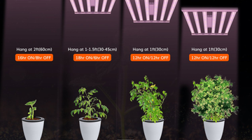 OCTOPUS 400: Best LED Grow Lights for Plants in 2022