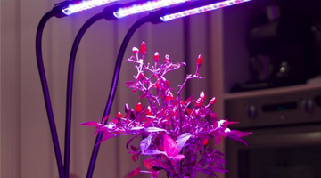 Useful Tips to Choose led Grow Lights Factory China