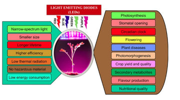 Do Grow Lights Work