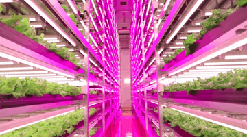5 Ways Led Grow Lights Factory can Help to set your Business