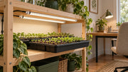Planning shelf access and seated views for indoor grow lights