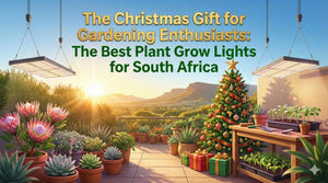 TheOneGrow LED grow lights and grow kits as Christmas gifts for South Africa gardeners